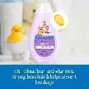71YaHFBkcgL._AC_SL1500_.webp
