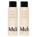 Volumizing Sulfate-Free Shampoo & Conditioner Gift Set, Add Moisture, Shine, & Fullness for Straight or Wavy Hair Types, 13 Fl Oz Each (2-Pack) 