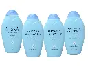 Shower to Shower Absorbent Body Powder, Morning Fresh with Lavender, 13-Ounce Bottles (Pack of 4) 