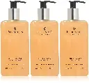16.9 Fluid Oz Hand Wash (Ginger Flower & Patchouli) - Gentle Cleanser for Sensitive Skin - Moisturizing & Hydrating - All Natural Cruelty Free Hand Wash - Vitamin B Enriched Hand Wash - Pecksniff’s (Three Pack)
