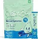 Waterboy Workout Hydration | 2,960mg Sugar Free Electrolyte Powder Packets | L-Glutamine + Vitamins | No Sugar, All Natural, Gluten Free | 15 Drink Stick Mixes (Blue Raspberry) 