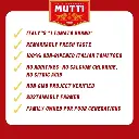 Mutti Double Concentrated Tomato Paste (Doppio Concentrato), 4.5 oz. Tube | 12 Pack | Italy’s #1 Brand of Tomatoes | Tube Tomato Paste | Vegan Friendly & Gluten Free | No Additives or Preservatives 