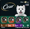 CESAR Adult Wet Dog Food Classic Loaf in Sauce Poultry Variety Pack,. Easy Peel Trays with Real Chicken, Turkey or Duck, 3.5 Ounce (Pack of 24) 