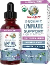 Lymphatic Support Drops by MaryRuth's | USDA Organic Lymphatic Cleanse Immune Support Supplement| Lymphatic Support with Echinacea & Elderberry | Blue Vervain | Vegan | Non-GMO | 30 Servings | 