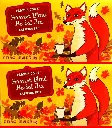 Trader Joe's Harvest Blend Herbal Tea, Caffeine Free, 20 Count (Pack of 2) 