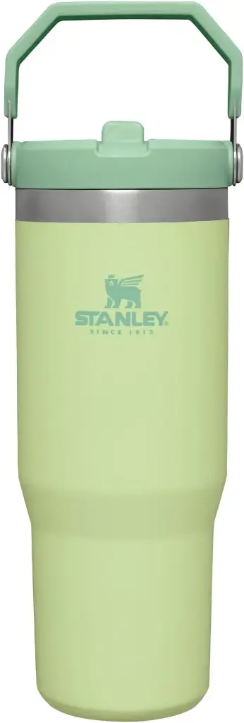 Stanley IceFlow Stainless Steel Tumbler - Vacuum Insulated Water Bottle for Home, Office or Car Reusable Cup with Straw Leak Resistant Flip Cold for 12 Hours or Iced for 2 Days, Citron, 30oz 