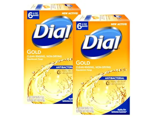 [252538] Dial Antibacterial Soap Bar, Gold, 6 Count (Pack of 2) 