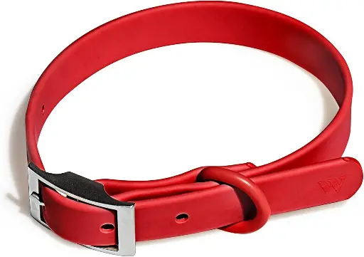 [222229] Wild One Collar - Large - Strawberry 